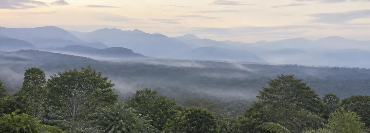 The Amazon cloud forest at first light, canopy in the foreground, layered blue ridges receding into mist